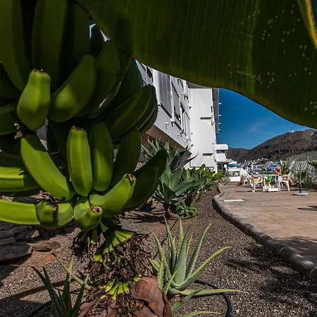 Puerto Rico Corner